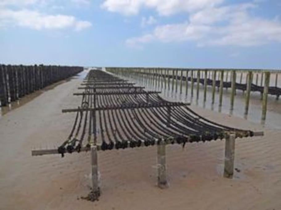 Maison Bord De Mer Individuel Gouville-sur-Mer المظهر الخارجي الصورة